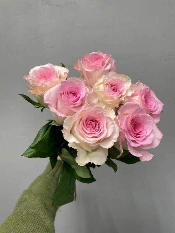 7 РОЗОВЫХ ПИОНОВИДНЫХ РОЗ, 7 розовых пионовидных роз