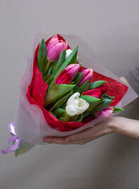 Букет из 9 тюльпанов в упаковке с тишью