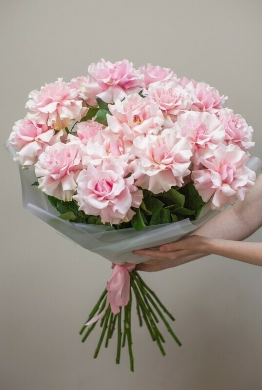 Bouquet of 25 pink French roses in a package, standart