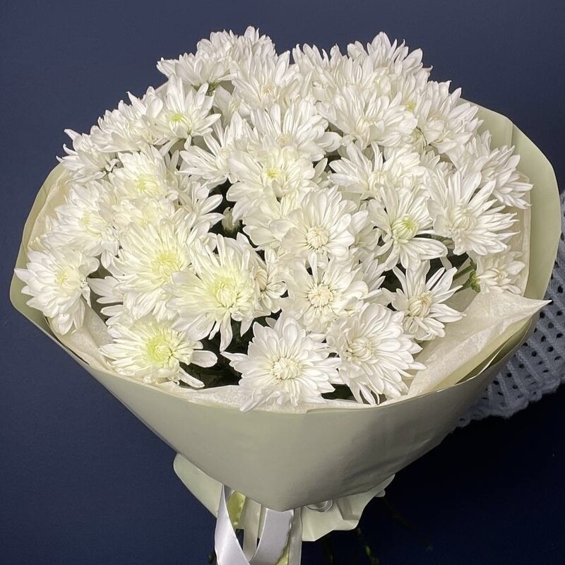 Хризантемы для девушки 15шт, хризантема белая 15шт