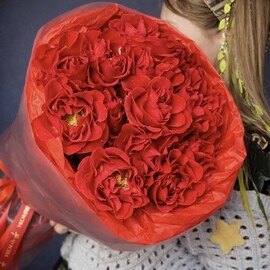 Buket iz krasnih kustovih roz