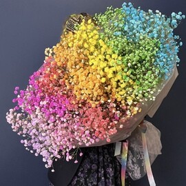 Gigantskoe oblako iz gipsofili "Raduga" 25 sht