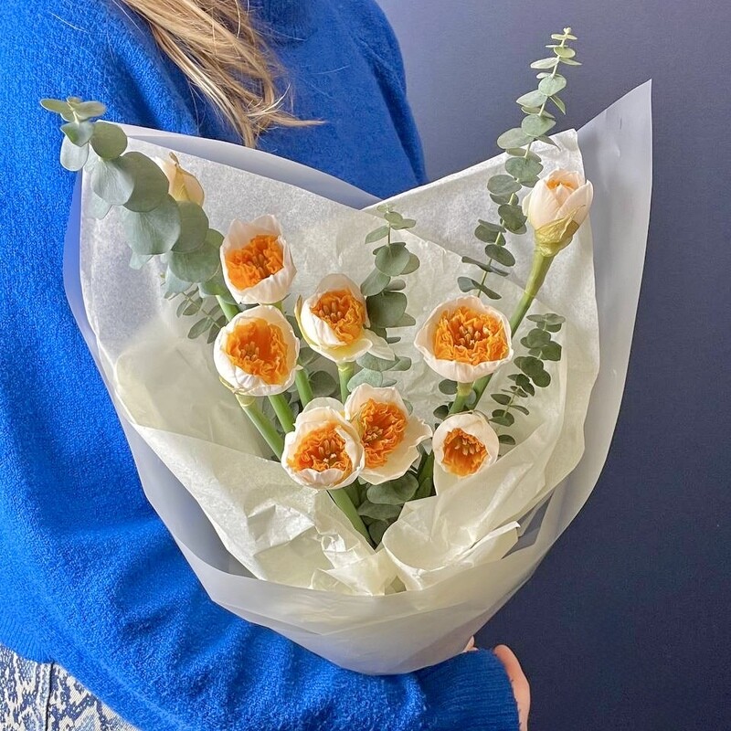 Нарциссы 9шт на 8 марта, делюкс