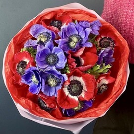 Анемоны 15шт для супруги