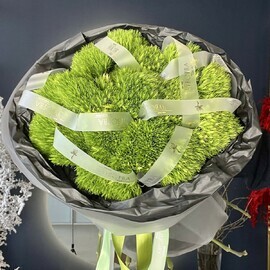 Мужской букет из зеленой пушистой гвоздики грин трик 17шт