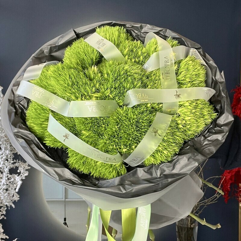 Muzhskoj buket iz zelenoj pushistoj gvozdiki grin trik 17sht, standart
