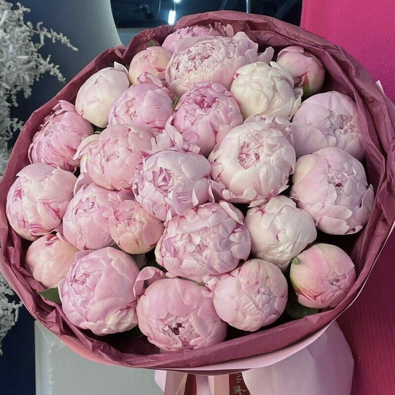 Пионы 25шт роскошный подарок для девушки, премиум