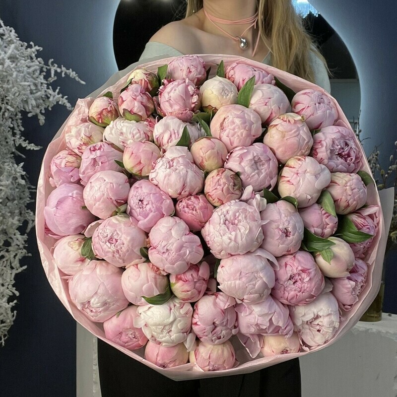 Premial_nij buket iz pionov, mono pionov 51sht