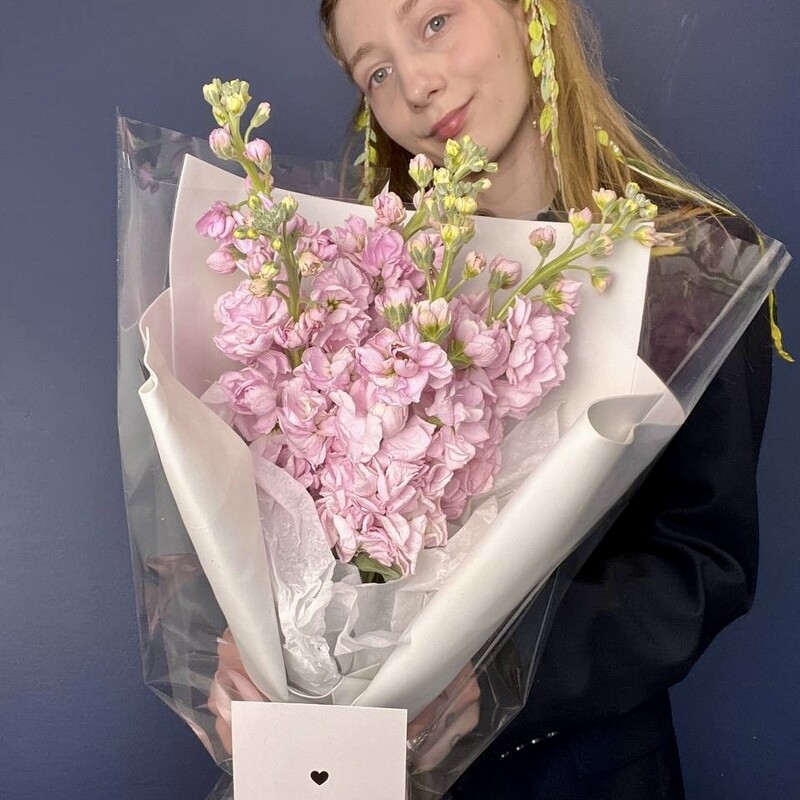 Nezhnij buket iz rozovoj mattioli 5sht, nezhnij buket iz rozovoj mattioli 5sht