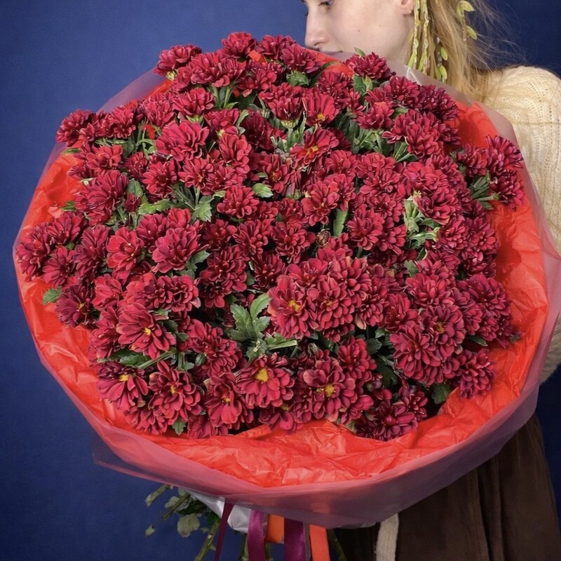 YArkij buket iz krasnoj kustovoj hrizantemi, krasnaya kustovaya hrizantema