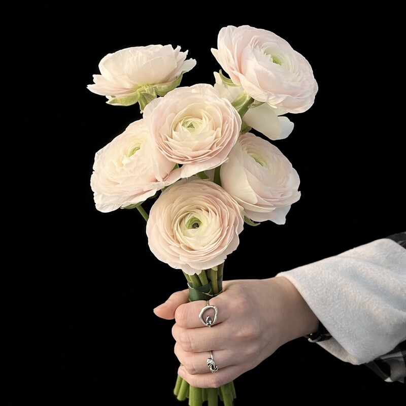 Svadebnij buket iz ranunkulyusov 7sht, standart