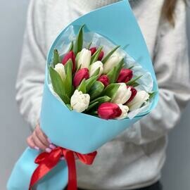 15 красно-белых тюльпанов