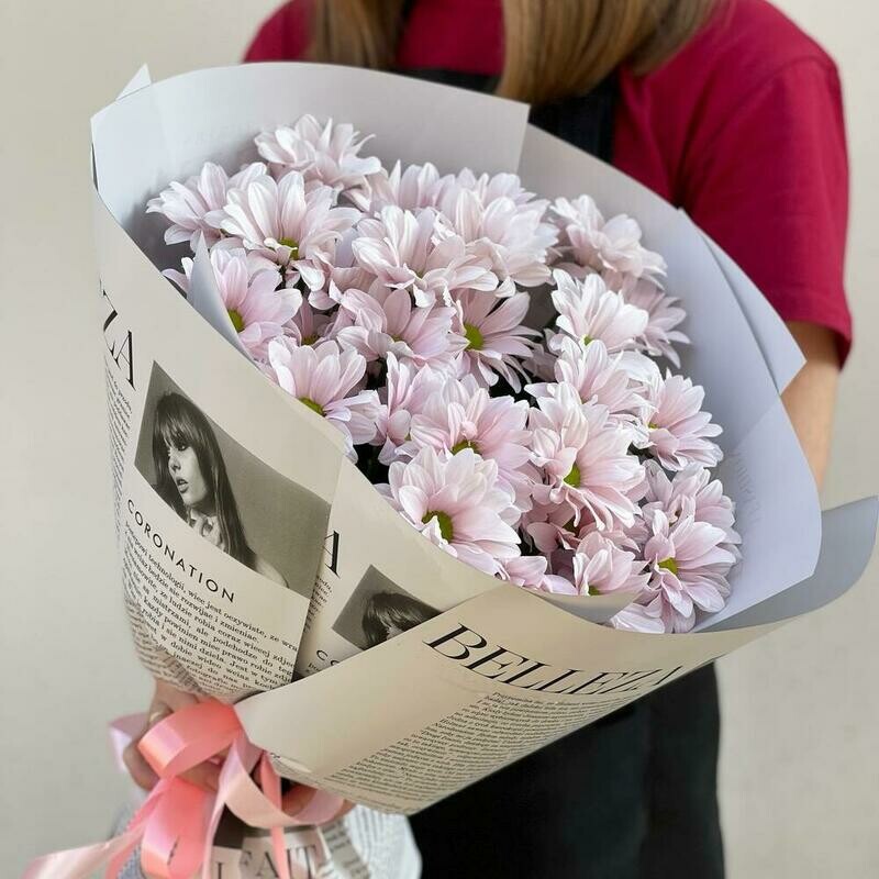 Букет из 5 розовых хризантем "Пастелла" в упаковке, букет из 5 розовых хризантем "пастелла" в упаковке