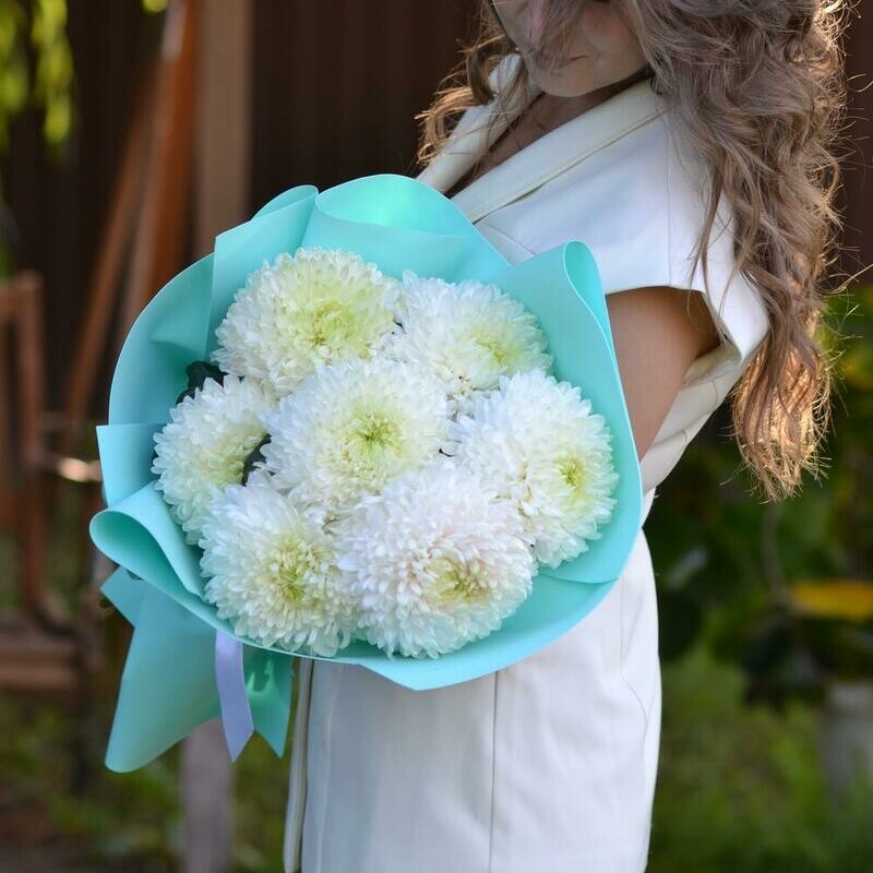 Букет из 7 белых хризантем, хризантема антонов