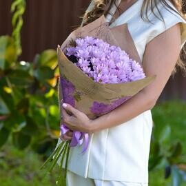 Букет из 5 веток кустовой сиреневой хризантемы