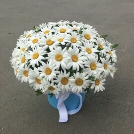 51 ромашка в коробочке