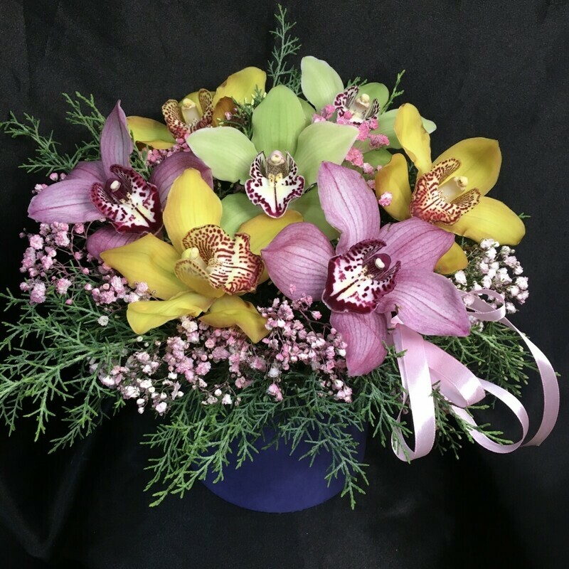 Korobochka s raznotcvetnimi orhideyami, standart