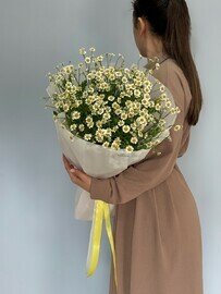 Buket iz romashek 214