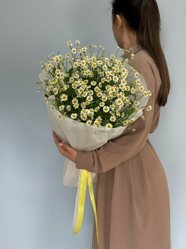 Букет из ромашек 214, букет из матрикарии 
