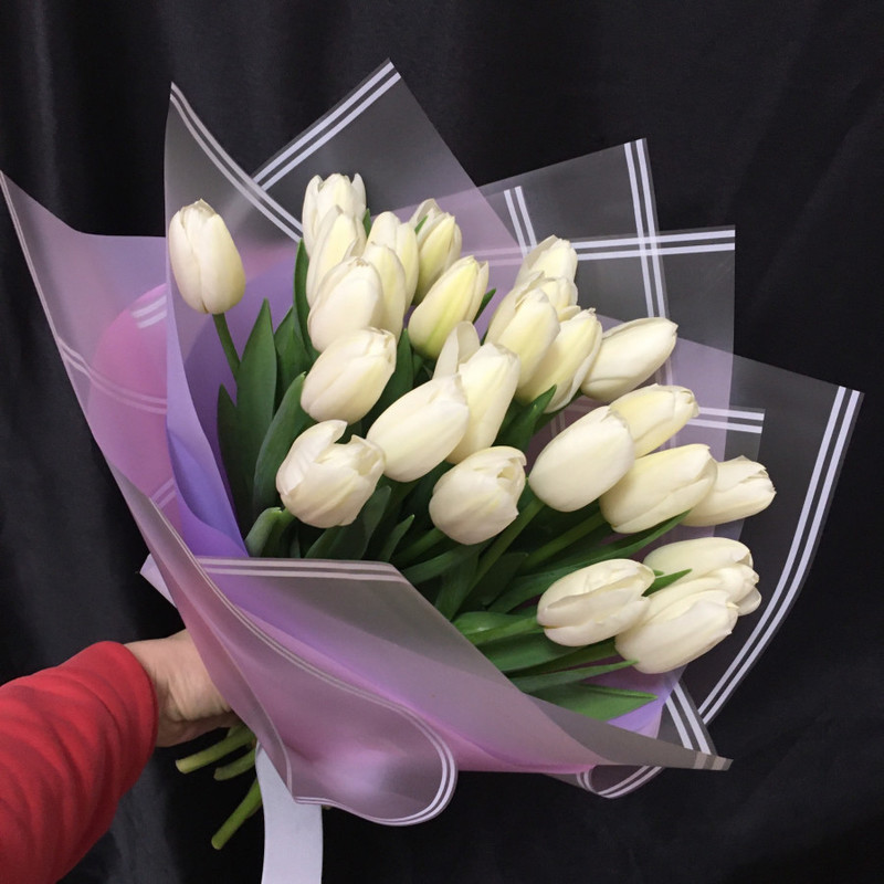 25 belih tyul_panov, standart