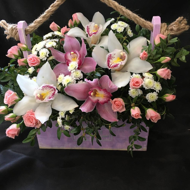 Марго 31, стандартный