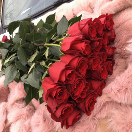 25 Roz 80 santimetrov