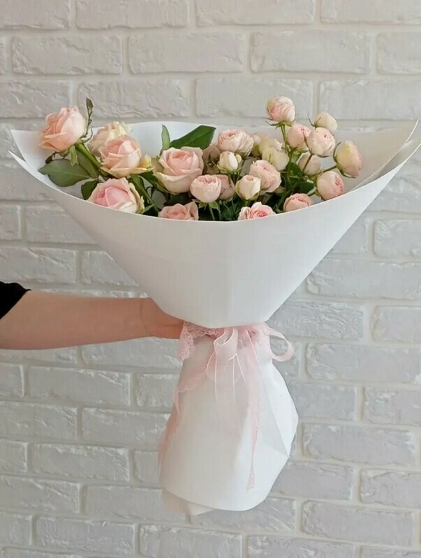 Pudrovie oblaka, pudrovie oblaka