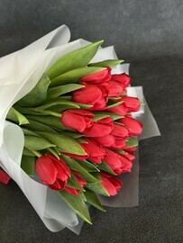 Букет из 25 красных тюльпанов арт.00104