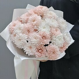 Нежное  облако хризантем 5 шт