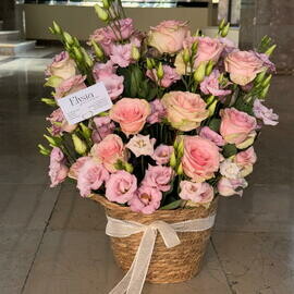 Мои чувства