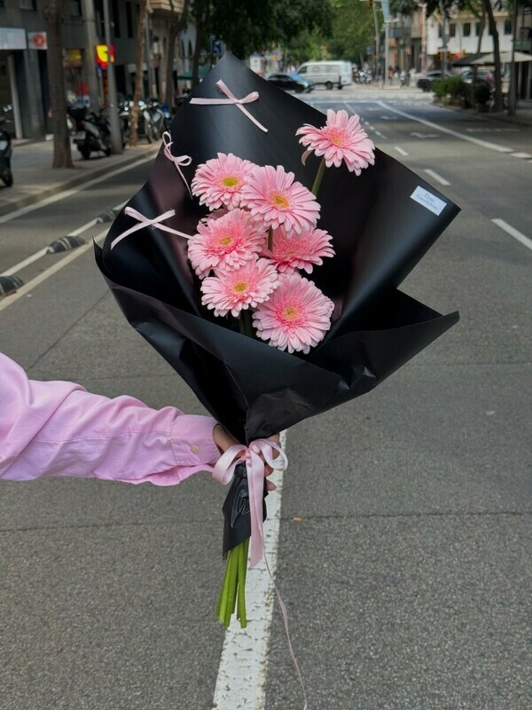 Amour Rose, стандартный