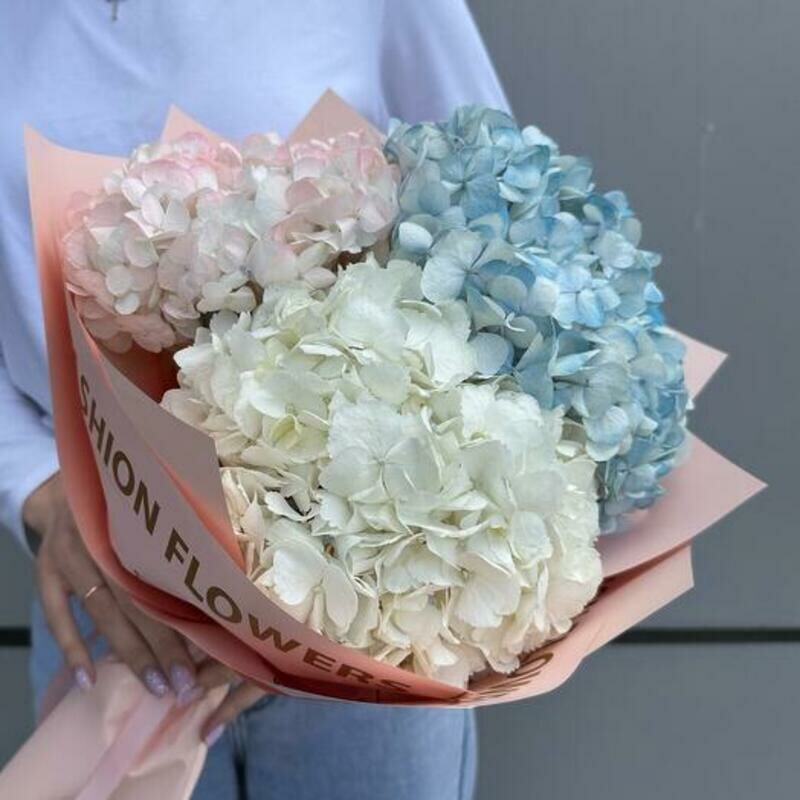 Букет из 3-х нежных гортензий, стандартный