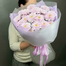 Букет нежных хризантем