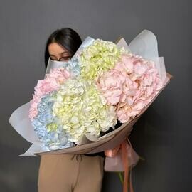 Buket iz 7 gortenzij