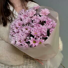 Букет из 7 кустовой розовой хризантемы