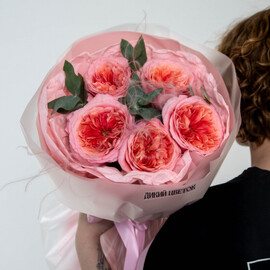 Mono buket rozi pink ekspreshn s evkaliptom