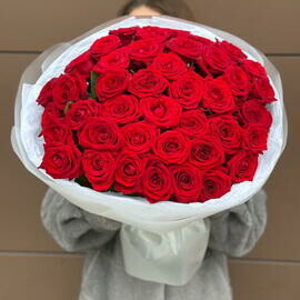 41 красная роза