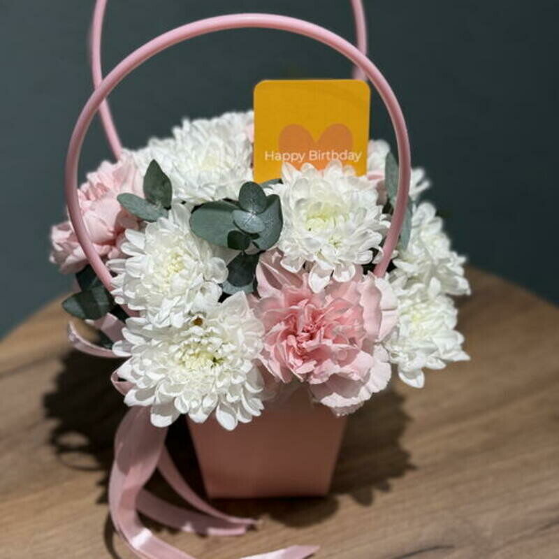 Sumochka belo-rozovaya nezhnaya, reduced