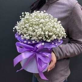 Гипсофила в коробке