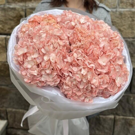 Букет из Гортензии 