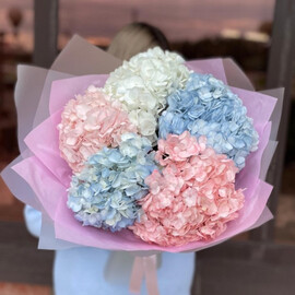 Buket «Nebesa» iz gortenzii