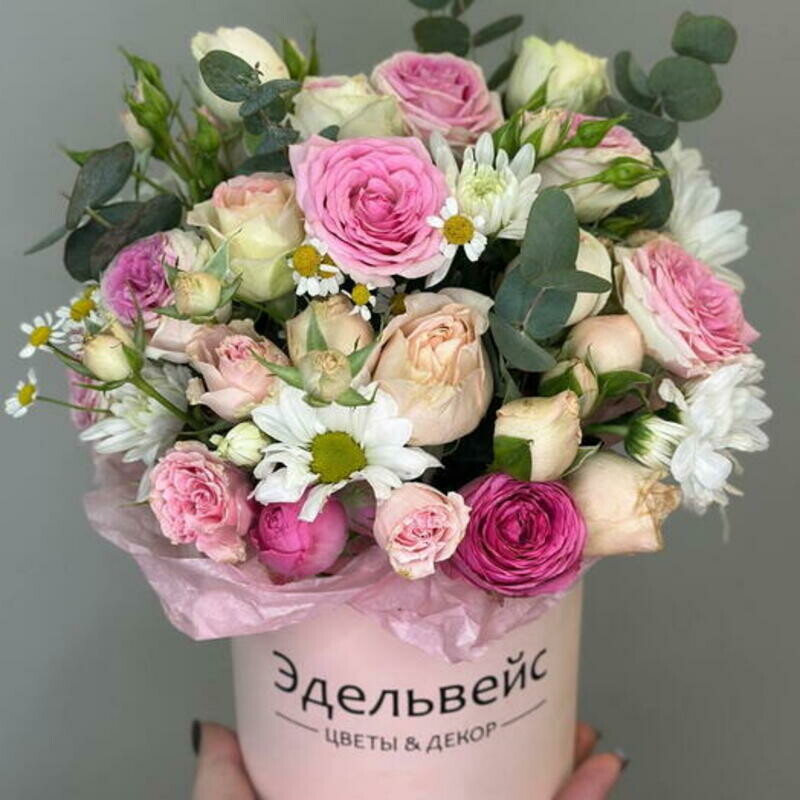 Композиция, уменьшенный