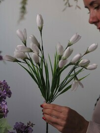 Dekorativnij buket belih krokusov