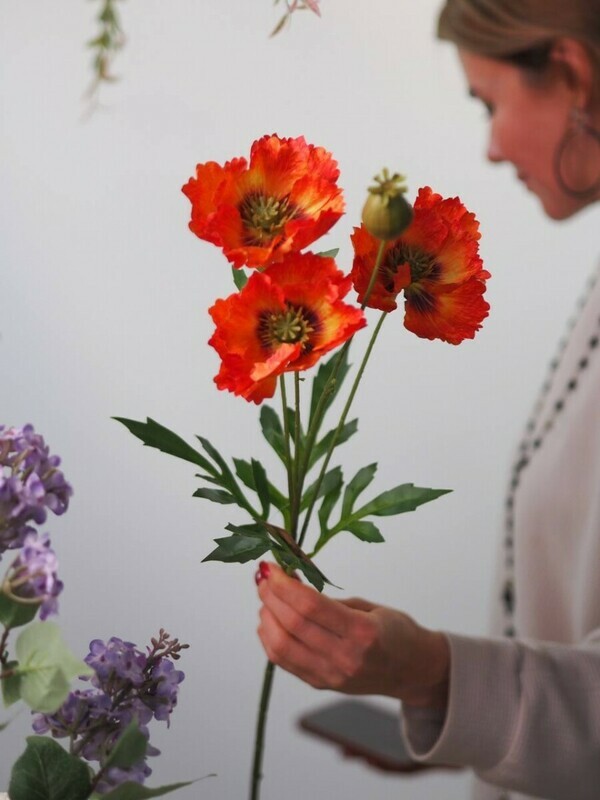 Мак декоративный, стандартный