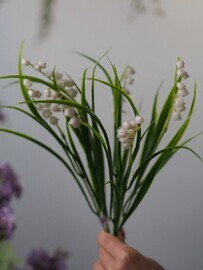 Landishi dekorativnie