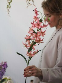 Декоративная лилия садовая розовая