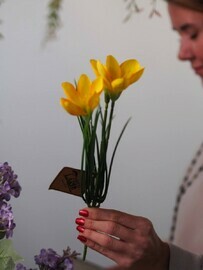 Dekorativnij buket zheltih krokusov