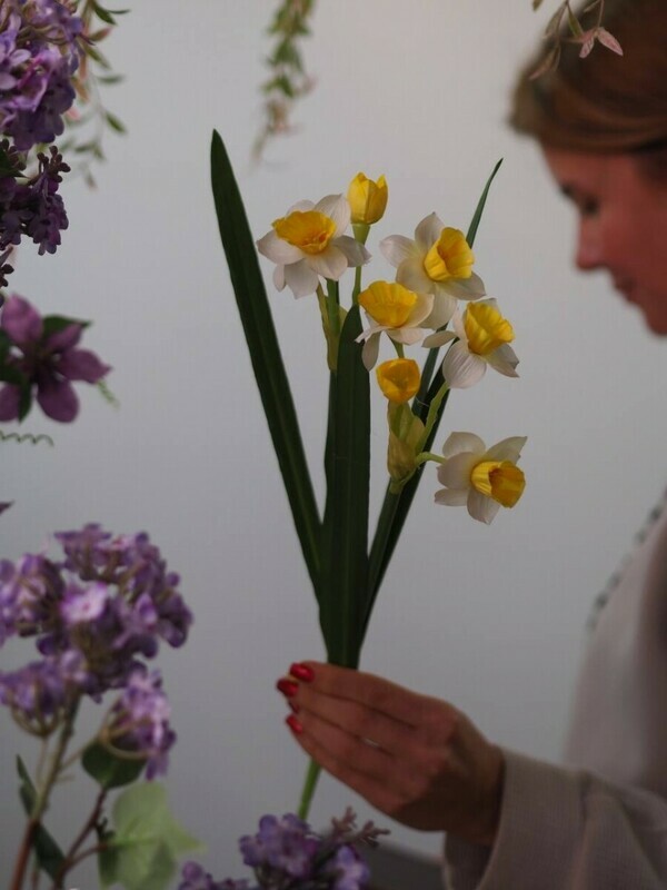 Декоративный нарцисс, стандартный