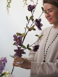 Декоративная магнолия сиреневая