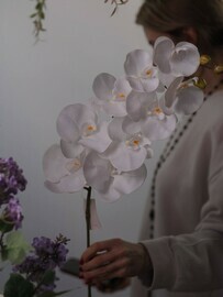 Dekorativnaya vetka orhidei